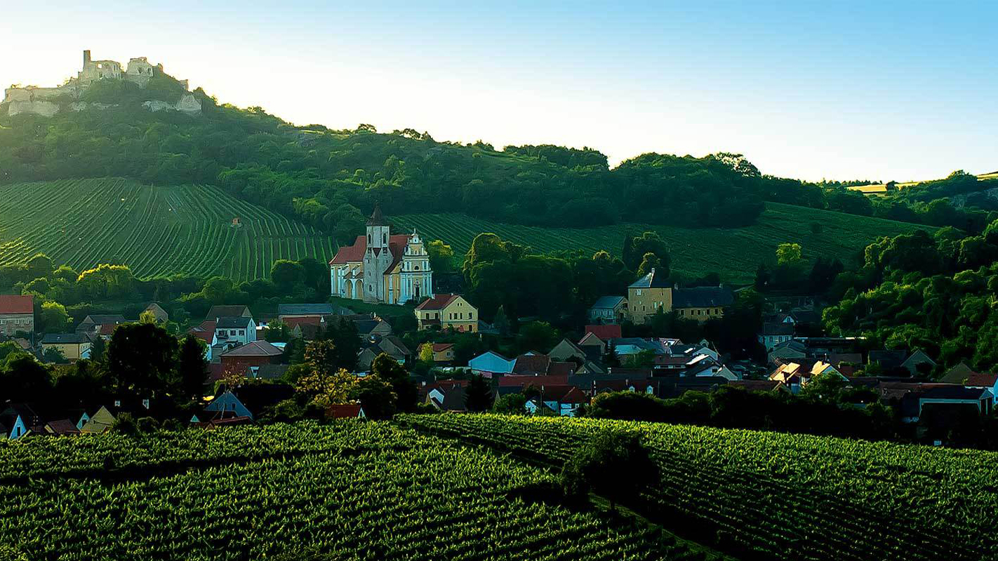 Dag 5 - Vin i sterrikiska Weinviertel